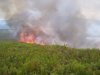 Incendio forestal